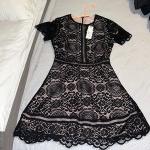 NWT BB Dakota dress